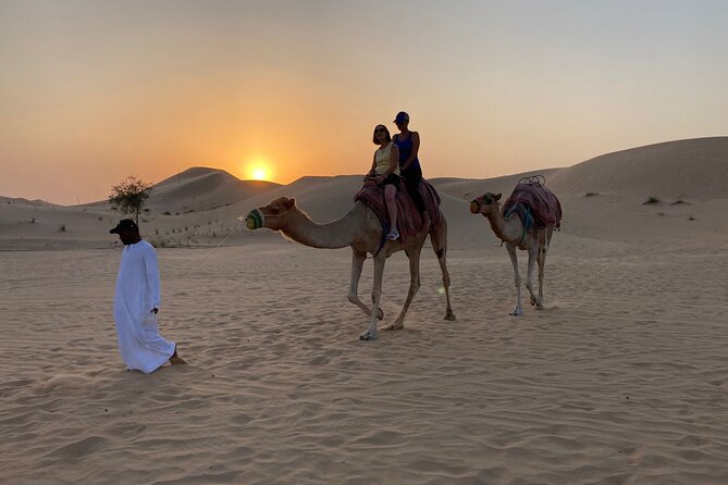 Safari Half-Day Adventure from Abu Dhabi - BBQ Dinner Under the Stars, With Drinks Included