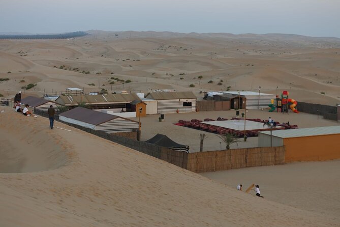 Safari Half-Day Adventure from Abu Dhabi - The Desert Camp: Camel Farm Time and Getting Your Bearings