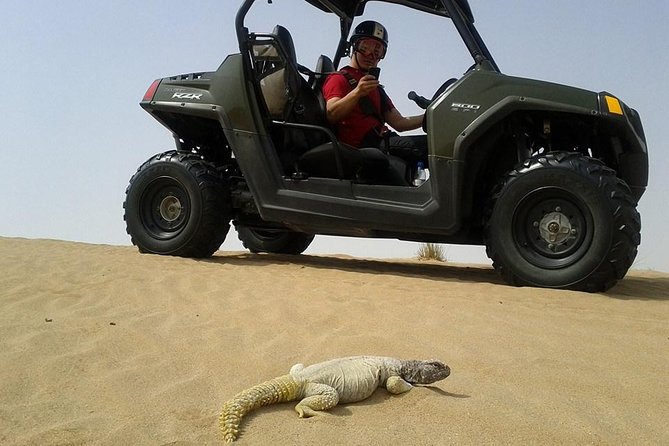 Self-Drive Buggy (Shared Buggy-2 people) or Quad Bike Safari - How Much Value $110 Actually Buys You