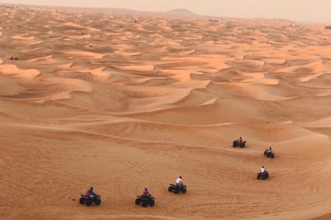 Self Drive Quad Bike in Open Desert With Sand Boarding and Camels - Practical Tips So Your Morning Goes Smooth