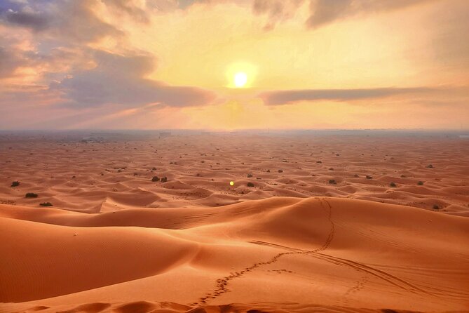 Shared Desert Safari Tour Dubai with Dinner Included - Price and timing: what you’re really paying for