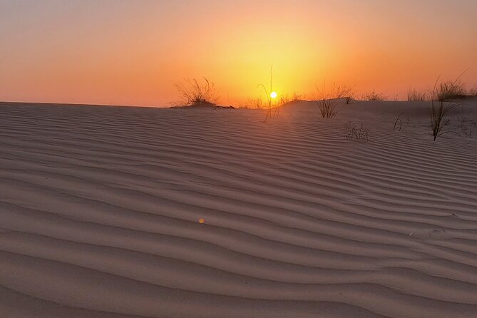 Shared Desert Safari Tour Dubai with Dinner Included - Lahbab Bedouin camp: coffee, henna, and showtime