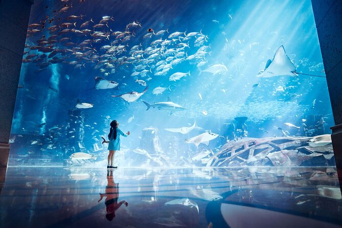 Skip the Line: Lost Chambers Entry at Atlantis The Palm Ticket - Your visit flow: from themed chambers to the big Ambassadors Lagoon