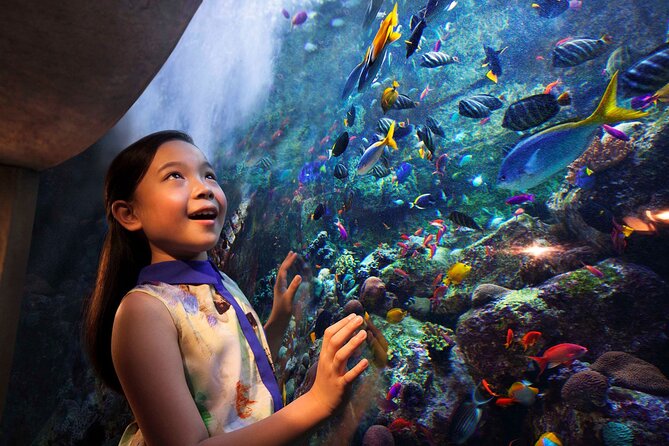 Skip the Line: Lost Chambers Entry at Atlantis The Palm Ticket - The included aquarium tour: what you gain beyond the tanks
