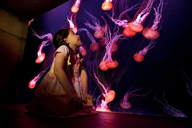 Skip the Line: Lost Chambers Entry at Atlantis The Palm Ticket - How long to plan: 30 to 60 minutes, plus resort time