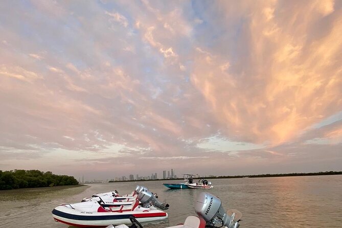 Small-Group Self-Drive Speedboat Tour in Yas Island Mangroves - Wildlife Reality Check: What You Might See, and What to Expect on a Given Day