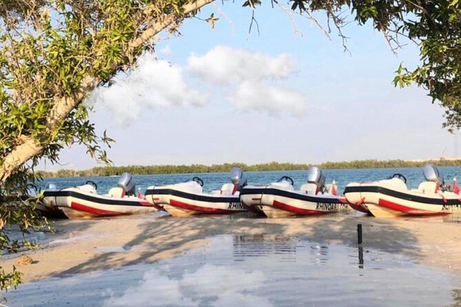 Small-Group Self-Drive Speedboat Tour in Yas Island Mangroves - Rhino Rider Speedboat 101: Rules, Ages, and the Weight Limit