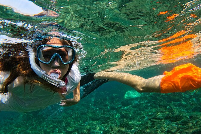Snorkeling with turtles in Fujairah with BBQ lunch - Snoopy Island: your first 90 minutes of turtles and school fish