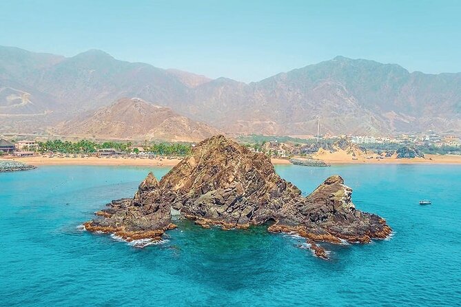 Snorkeling with turtles in Fujairah with BBQ lunch - Price and value: what $95 really covers