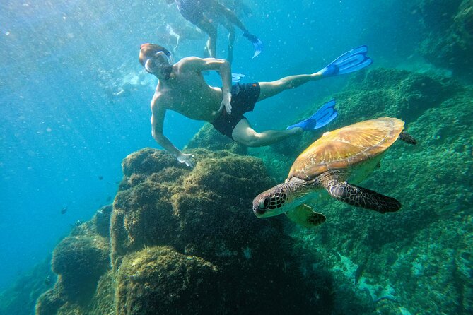 Snorkeling with turtles in Fujairah with Transfer & BBQ lunch - From Your Dubai Hotel to Fujairah’s Coast, With a Scenic Road Break