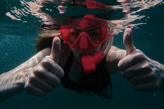 Snorkeling with turtles in Fujairah with Transfer & BBQ lunch - Price and Value: Where the $139.27 Per Person Actually Helps