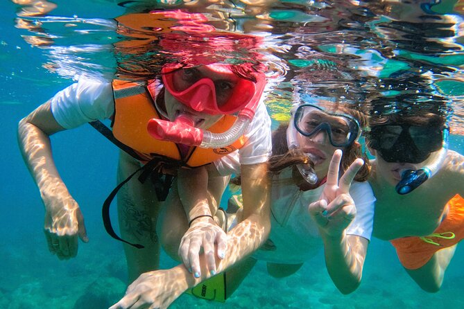 Snorkeling with turtles in Fujairah with Transfer & BBQ lunch - Should You Book This Tour?