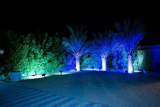 Standard Desert Safari, camel ride, BBQ Dinner, Belly Dance Show, Pick & Drop - Dune bashing and desert views: where the thrill actually happens