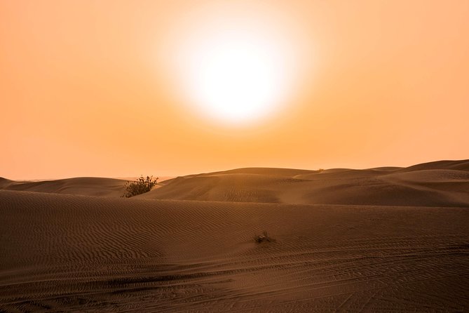 Sundowner Desert Safari and Dinner - Pickup, small-group size, and the real 7-hour rhythm