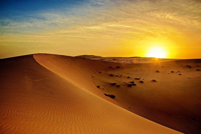 Sunrise Desert Safari from Abu Dhabi - Key highlights worth waking up for