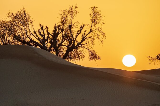 Sunrise/Morning Dune Drive with Camel Trek & Sand Surfing - Why a sunrise desert safari works so well in Dubai