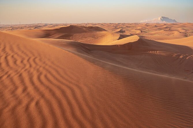 Sunrise/Morning Dune Drive with Camel Trek & Sand Surfing - Camel trek caravan ride: the short one you’ll remember