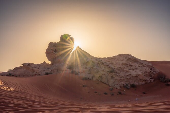 Sunrise/Morning Dune Drive with Camel Trek & Sand Surfing - The dune bashing part: adrenaline, photos, and a big comfort factor