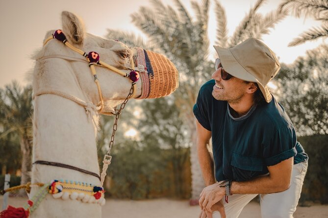 Sunrise/Morning Dune Drive with Camel Trek & Sand Surfing - Included extras that raise the real value