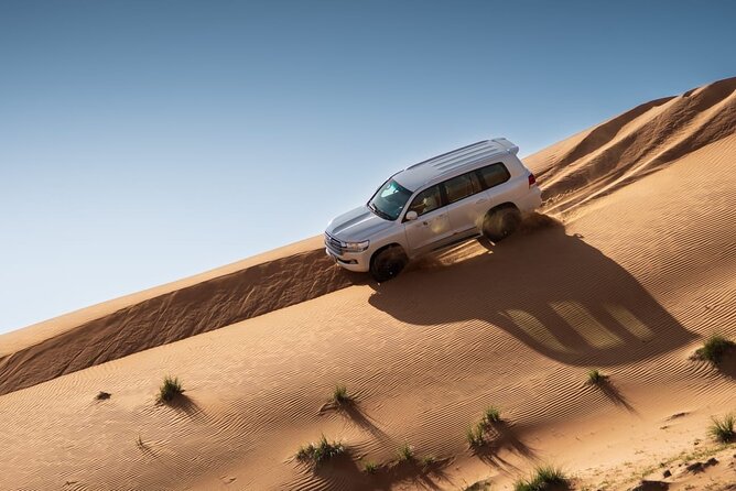 Sunrise/Morning Dune Drive with Camel Trek & Sand Surfing - Pickup, the Red Dunes drive, and the 4x4 part you should expect