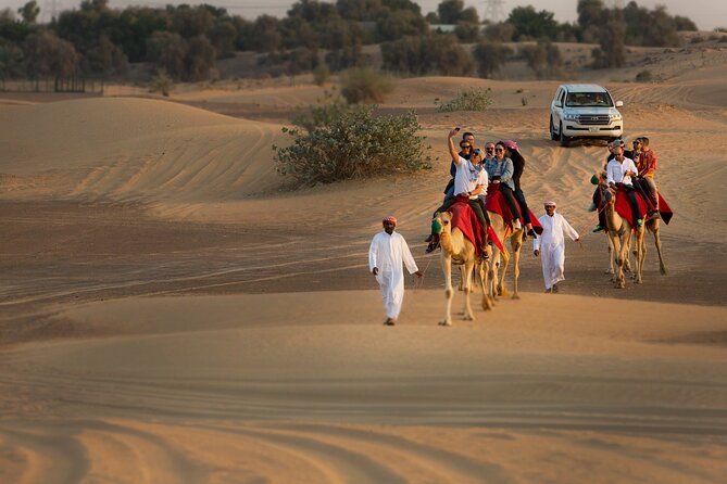 Sunset Camel Trekking with Falcon Show & VIP BBQ Dinner - The camel ride: 45 minutes of calm, not chaos