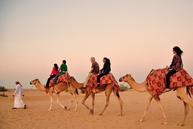 Sunset Desert Safari | Premium BBQ Dinner | Red Sand Dune - Price and value: what $69.78 covers in practice
