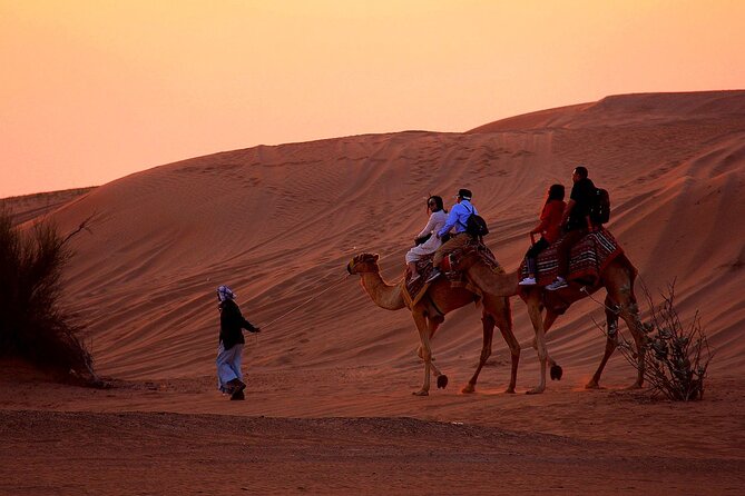 Sunset Evening Safari,Camel ride,live shows and BBQ Dinner with No Hidden Charge - Lahbab red dunes: dune bashing, sandboarding, and sunset photos