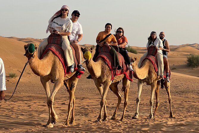 Sunset Safari with BBQ Dune Drive Camel Ride & Dune Buggy option - Camel Caravan, Falcon Photos, and the Camp Entertainment Stack