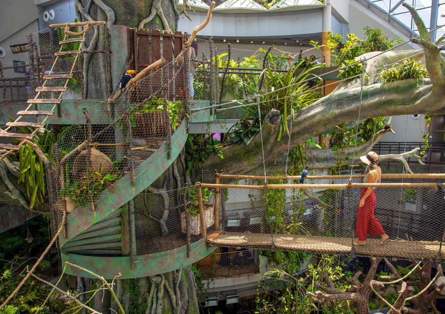 The Green Planet - Dubai's Unique Indoor Rainforest - What The Green Planet feels like in Dubai
