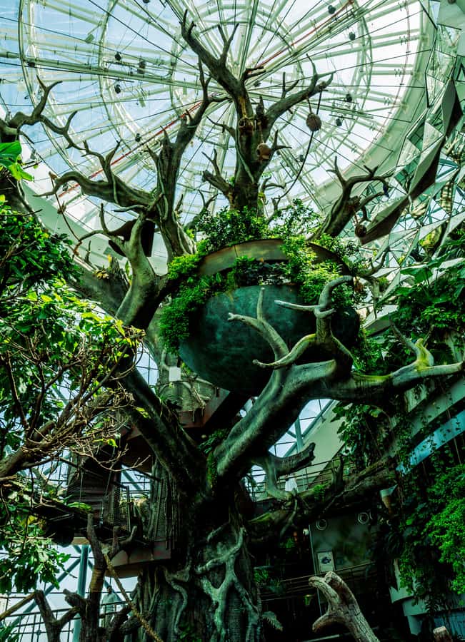 The Green Planet - Dubai's Unique Indoor Rainforest - Birds, monkeys, and sloths: watching behavior, not just bodies