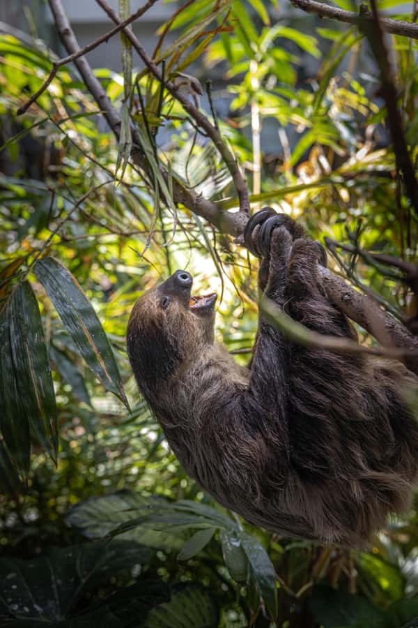 The Green Planet - Dubai's Unique Indoor Rainforest - Price and value: what $42 buys, and how to judge add-ons