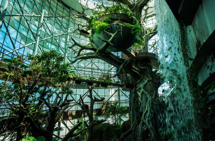 The Green Planet - Dubai's Unique Indoor Rainforest - Who this is best for (and who might want a different day)