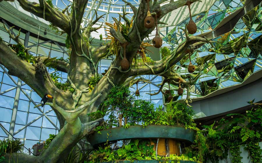 The Green Planet - Dubai's Unique Indoor Rainforest - The route: treetops, ground level, and the “other world” feeling