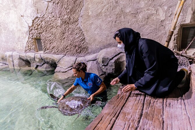 The National Aquarium Abu Dhabi Admission Tickets - Should you book the National Aquarium Abu Dhabi ticket?