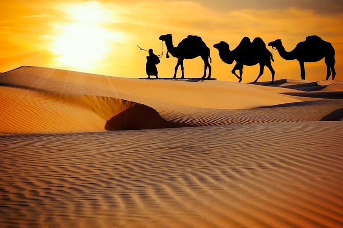 Thrilling dune bashing with VIP Desert camp delicious BBQ & shows - Dune Bashing on the High Red Golden Dunes