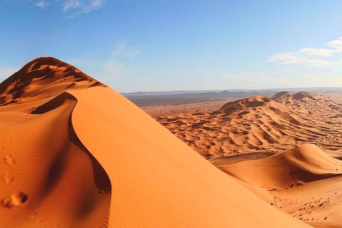 Thrilling Morning Red Dune Desert Safari with Camel Ride in Dubai - Dune bashing in a 4x4: where the adrenaline is real