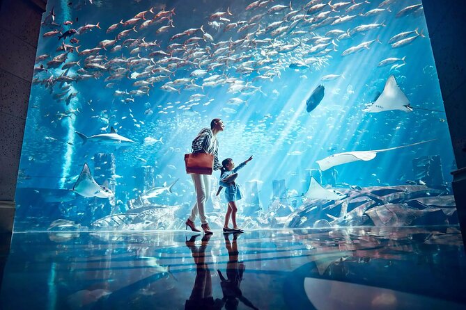 Ticket to Atlantis Aquaventure Waterpark & Combo - Aquaventure at Atlantis The Palm, why this is more than a normal waterpark