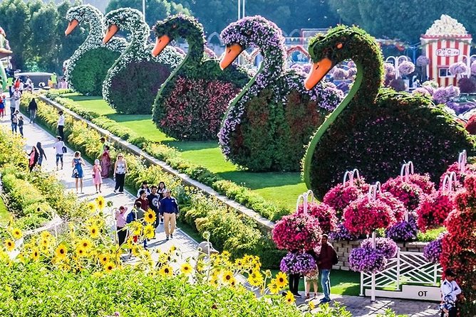Tickets to Miracle Garden or Butterfly Garden or Global Village - Who This Works Best For (And Who Should Skip It)