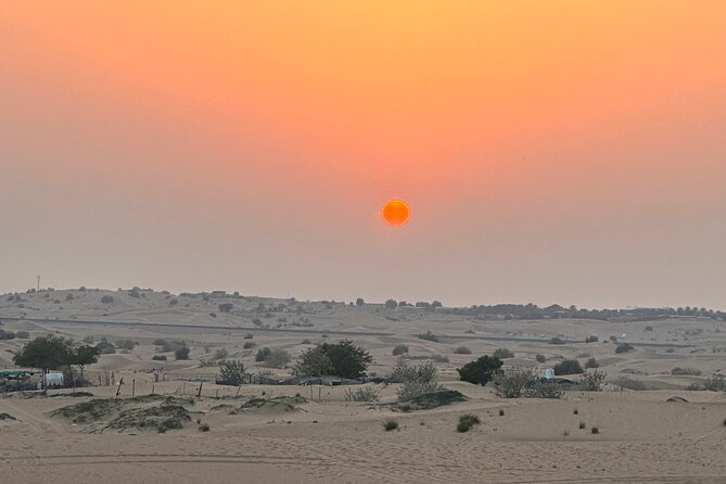 Top premium Desert safari with BBQ DINNER - Who This Safari Fits Best (and Who Might Feel Frustrated)