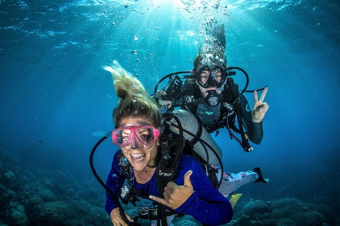 Try Scuba Diving Experience in Fujairah - Key highlights you’ll care about