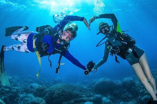 Try Scuba Diving Experience in Fujairah - What you get for your $83.45: value that makes sense
