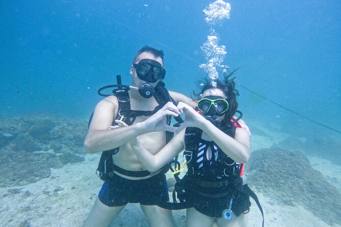 Try Scuba Diving & snorkeling with BBQ lunch & Transfer - Fujairah Reefs Make This a Smart Day Trip From Dubai