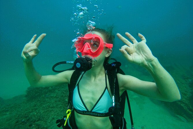 Try Scuba Diving & snorkeling with BBQ lunch & Transfer - Snorkeling Time Plus Your First Reef Underwater Session