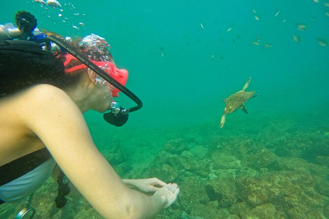 Try Scuba Diving & snorkeling with BBQ lunch & Transfer - Underwater Photos and How the Crew Helps You Relax