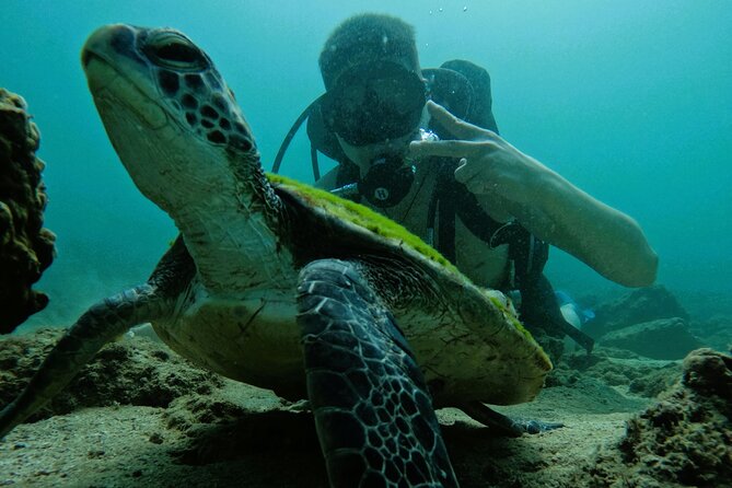 Try Scuba Diving & snorkeling with BBQ lunch & Transfer - PADI Discovery Diver: What You Can Earn on This Day