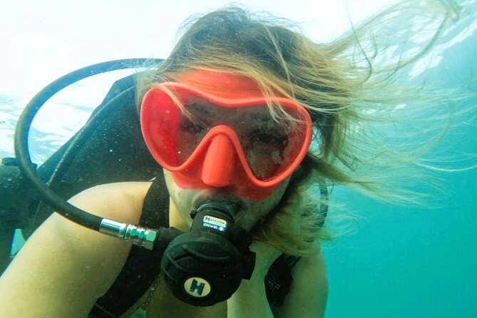 Try Scuba Diving & snorkeling with BBQ lunch & Transfer - Hotel Pickup to Fujairah: What the Transfer Really Does