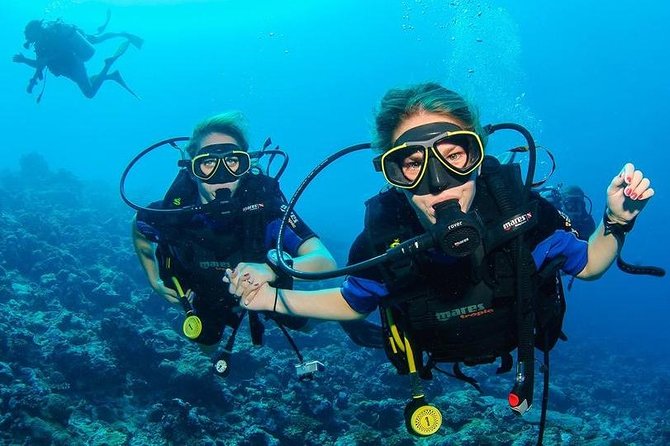 Two Dives for certified divers in Fujairah - Key points I’d circle before you book