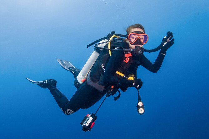 Two Dives for certified divers in Fujairah - Dubai to Fujairah, minus the stress