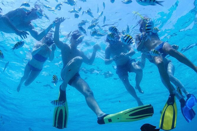 Two Dives for certified divers in Fujairah - Who this fits best, and who should choose a different option