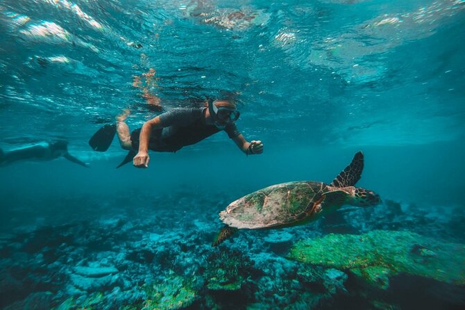 Two Dives for certified divers in Fujairah - Boat setup, equipment included, and the small comfort wins